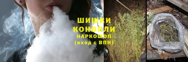 соль ск Богородицк