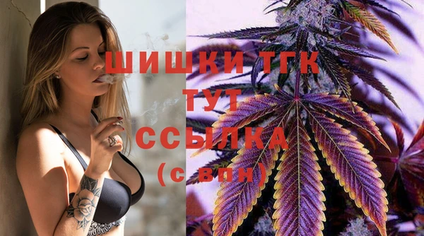соль ск Богородицк