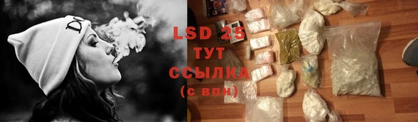 винт Богданович