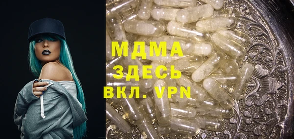 индика Саяногорск