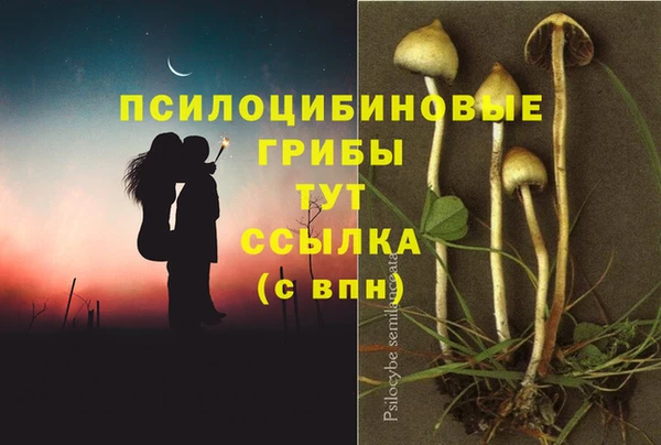 соль ск Богородицк